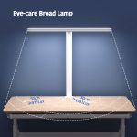broad desk lamp 2